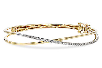 C302-21751: BANGLE .50 TW
